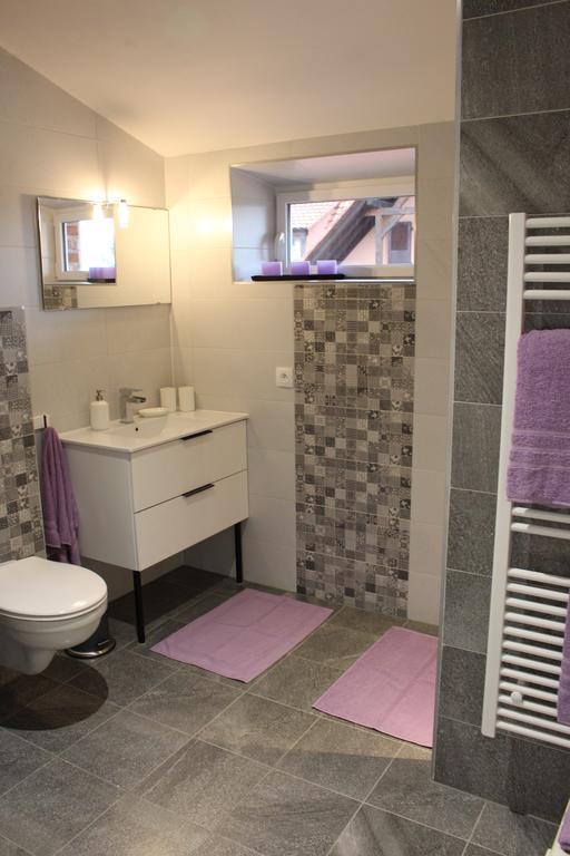 Agrita Home Wittisheim المظهر الخارجي الصورة